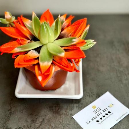 B&B La Reggia Del Sol Trani Ngoại thất bức ảnh