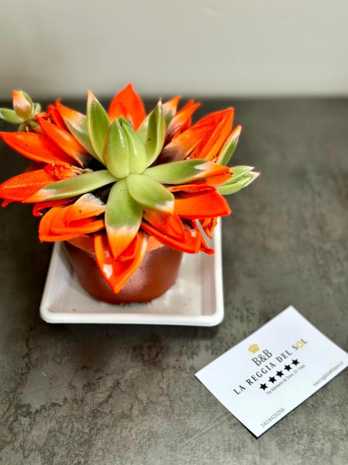 B&B La Reggia Del Sol Trani Ngoại thất bức ảnh